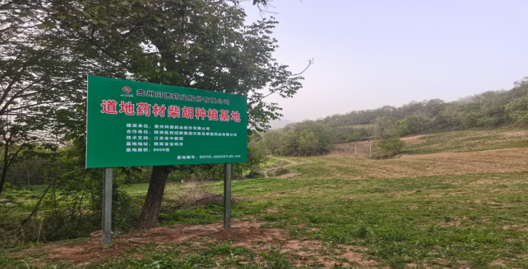 与陕西城固县三合镇政府共建延胡索基地