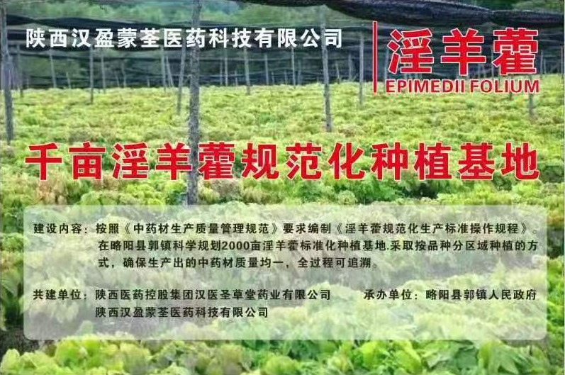 与陕西汉盈蒙荃医药科技有限公司共建淫羊藿基地